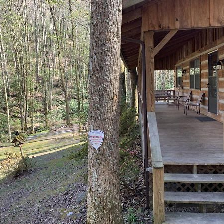 Little Mountain Hideaway Cabin Pigeon Forge Exteriör bild